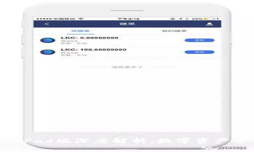 tpWallet iPad版深度解析：数字资产管理新选择