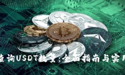 如何查询USDT数量：全面指南与实用技巧