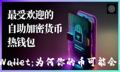   
揭秘tpWallet：为何你的币可能会被转走？